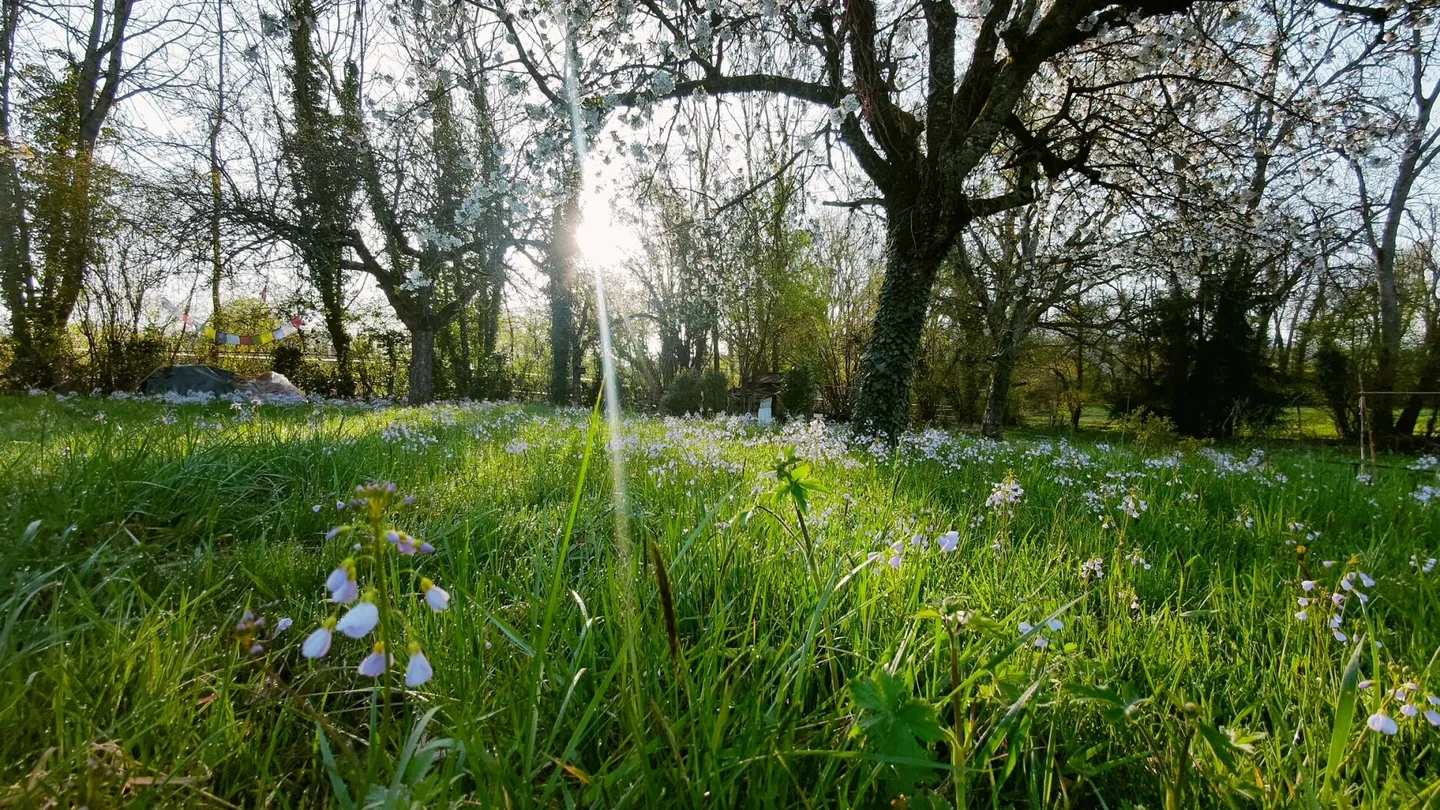 Appartements de Luxe dans Bâtisse Historique - Photo 3 sur 5