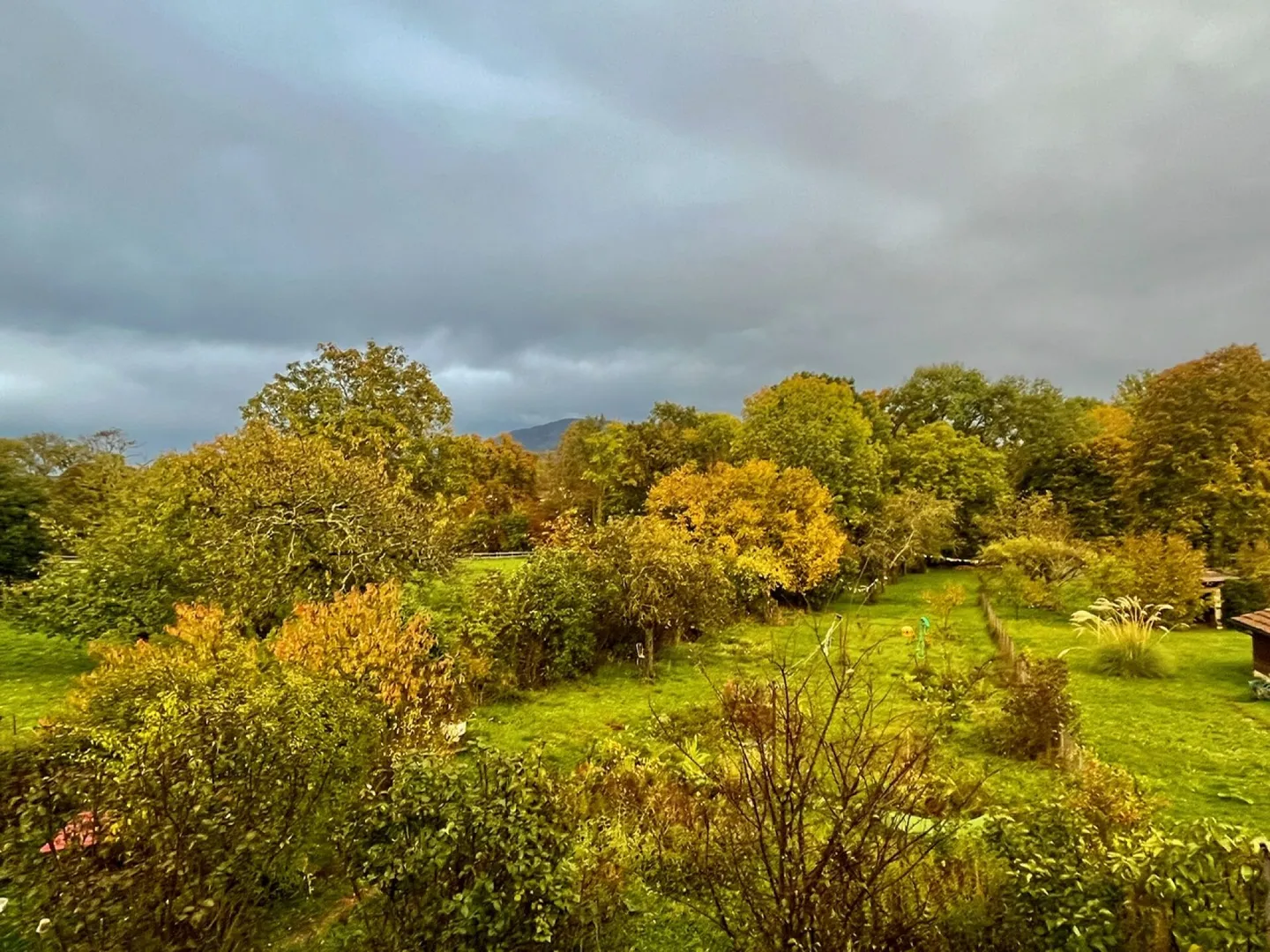 Appartements de Luxe dans Bâtisse Historique - Photo 4 sur 5