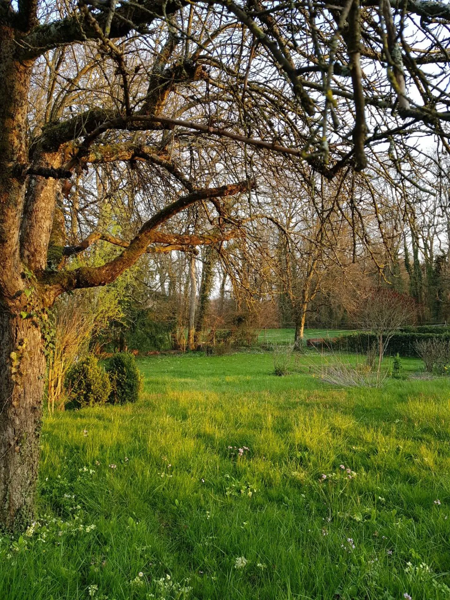 Appartements de Luxe dans Bâtisse Historique - Photo 5 sur 5