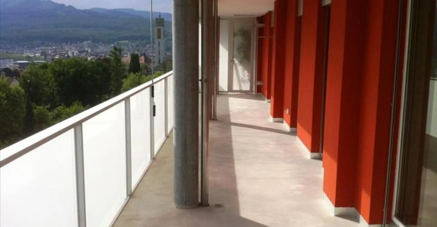 Sopra i tetti di Olten! - Foto 8 di 8