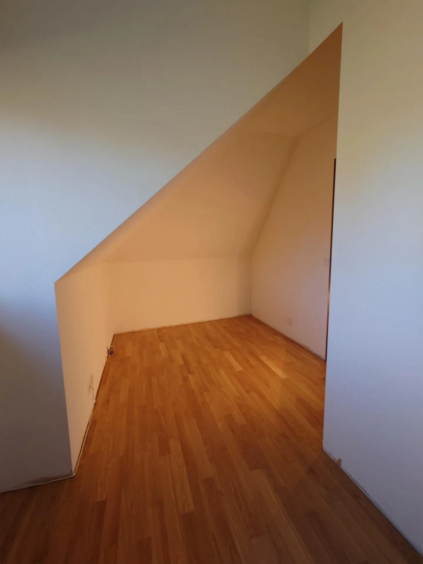 3-room apartment with fireplace on St. Galler Ring - Photo 6 of 21