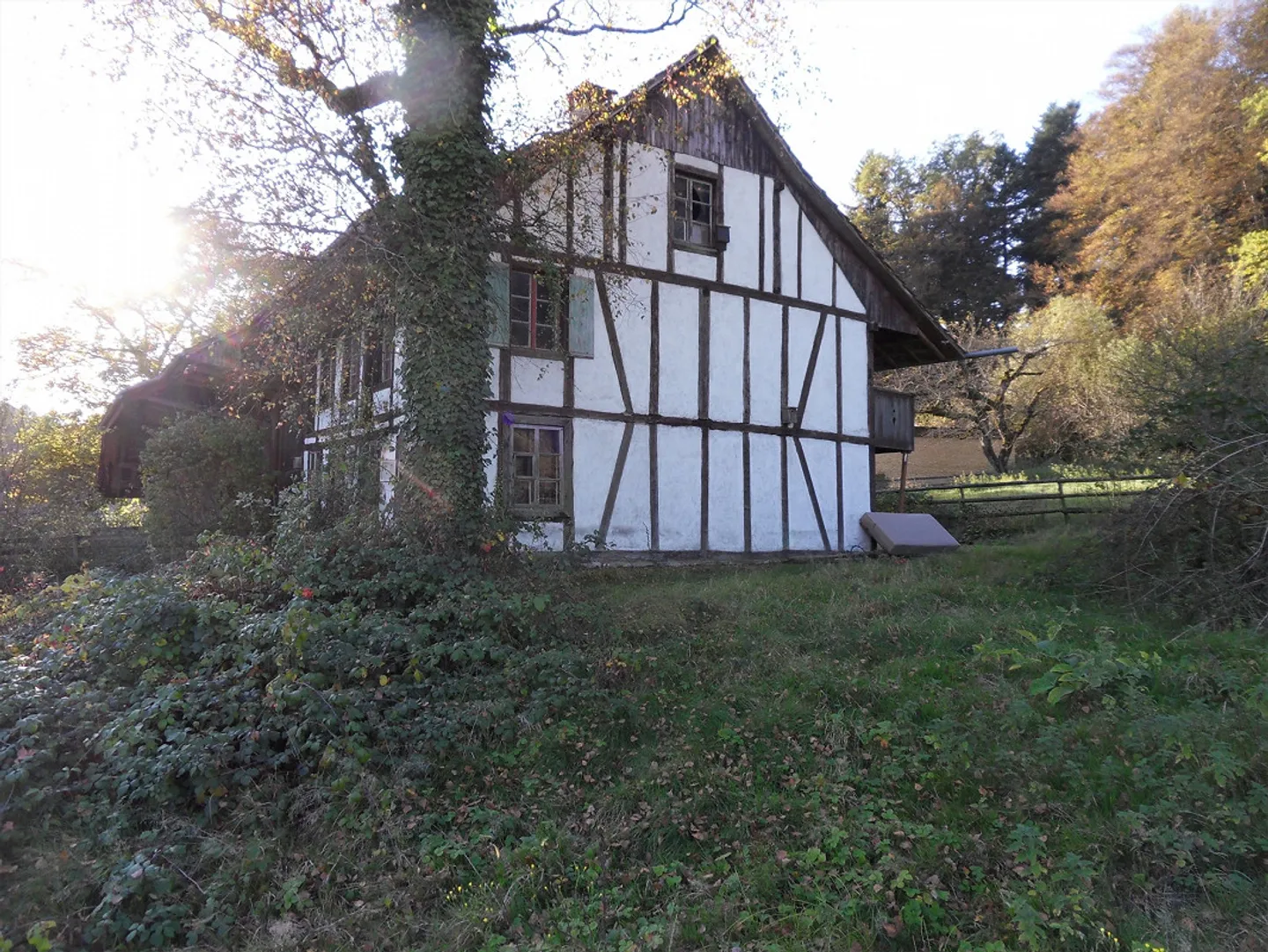 Ferme - Photo 3 sur 5