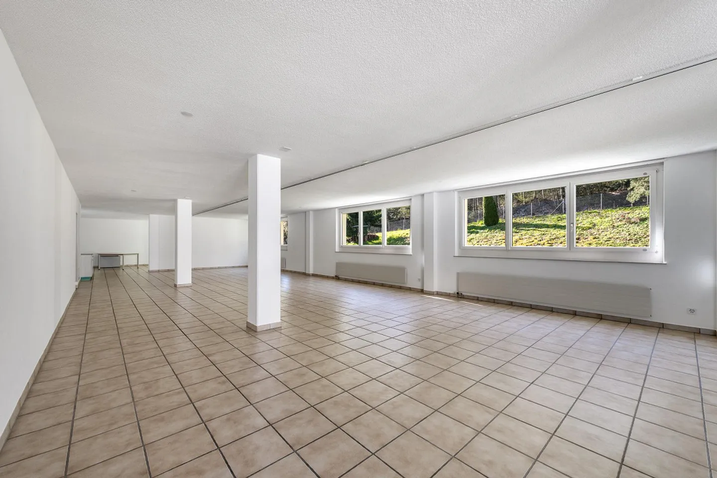 Your new commercial or office space on the left shore of Lake Zurich - Photo 7 of 9