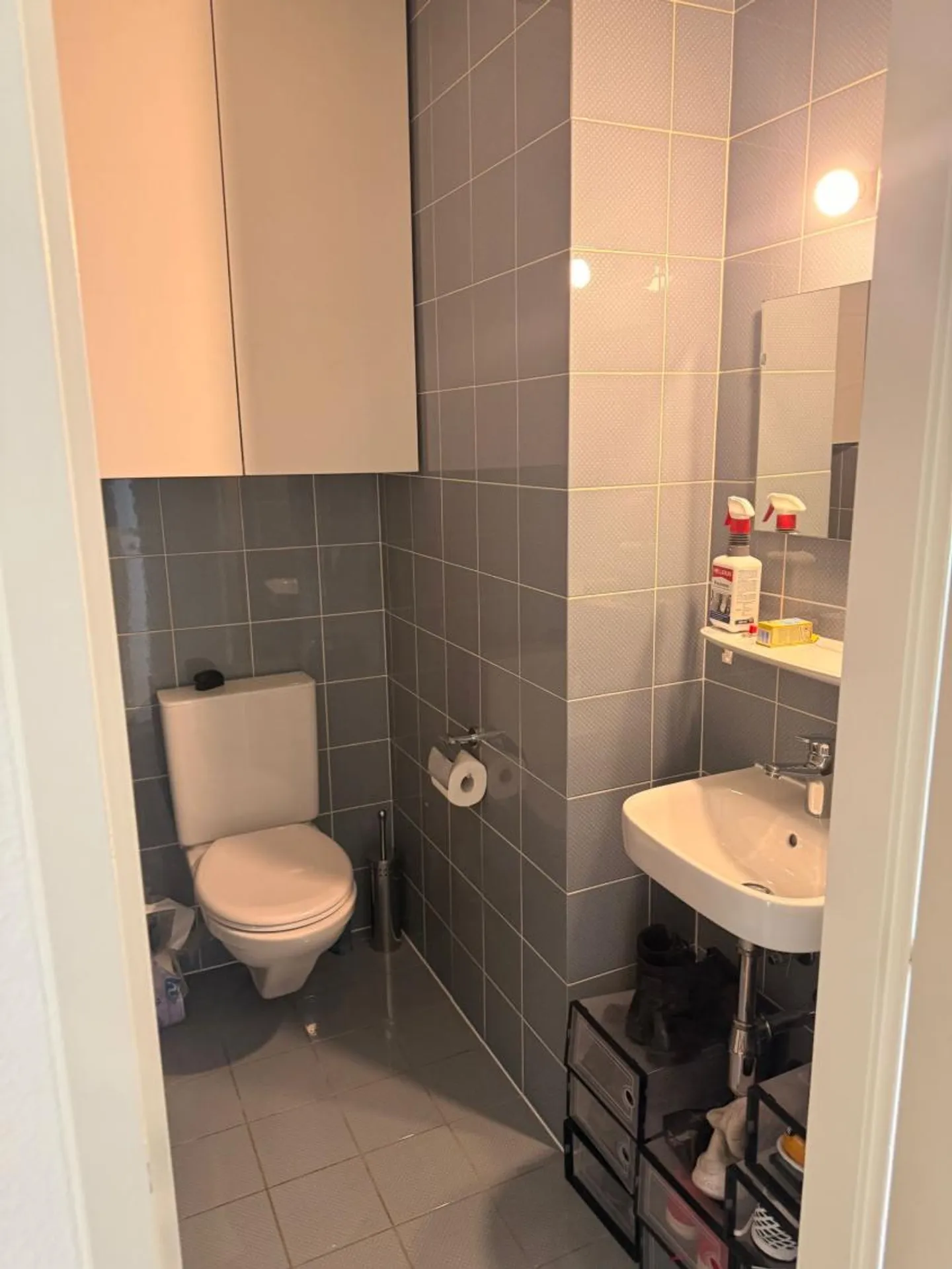 Appartamento 3.5 stanze - Foto 6 di 9