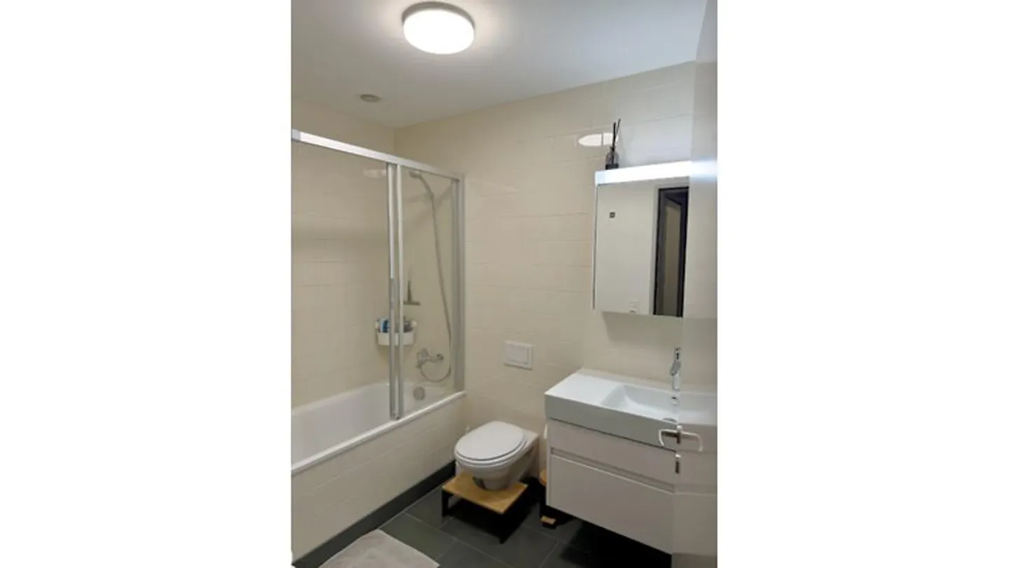 3½ ROOM APARTMENT IN ZURICH - DISTRICT 12 HIRZENBACH, FURNISHED, TEMPORARY - Photo 6 of 8