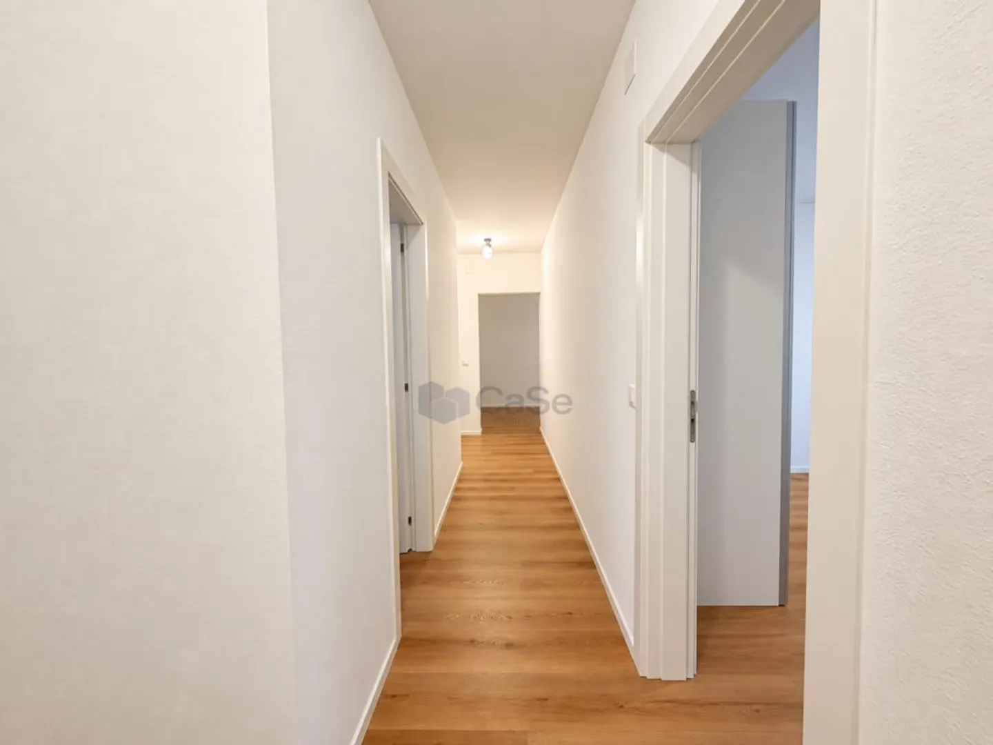 MASSAGNO - 4.5 RENOVATED - TURNKEY - Photo 2 of 18
