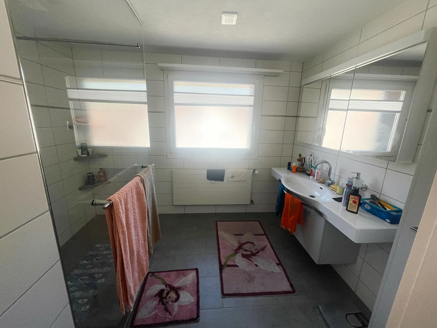 Spacious 4.5 Room Attic Apartment Centrally Located - Photo 6 of 8