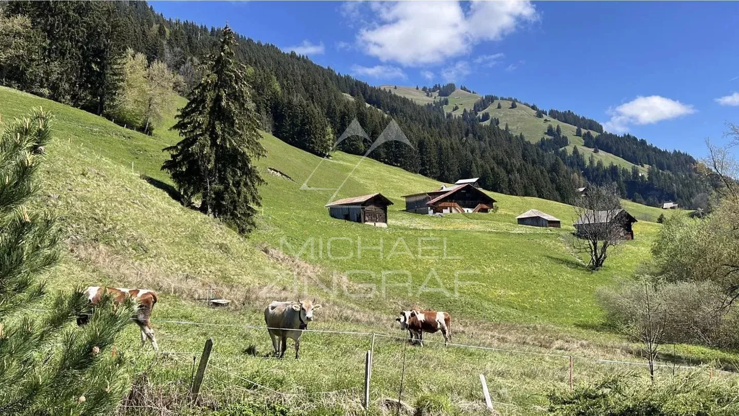 Appartement Charmant à Rougemont - Photo 3 sur 5