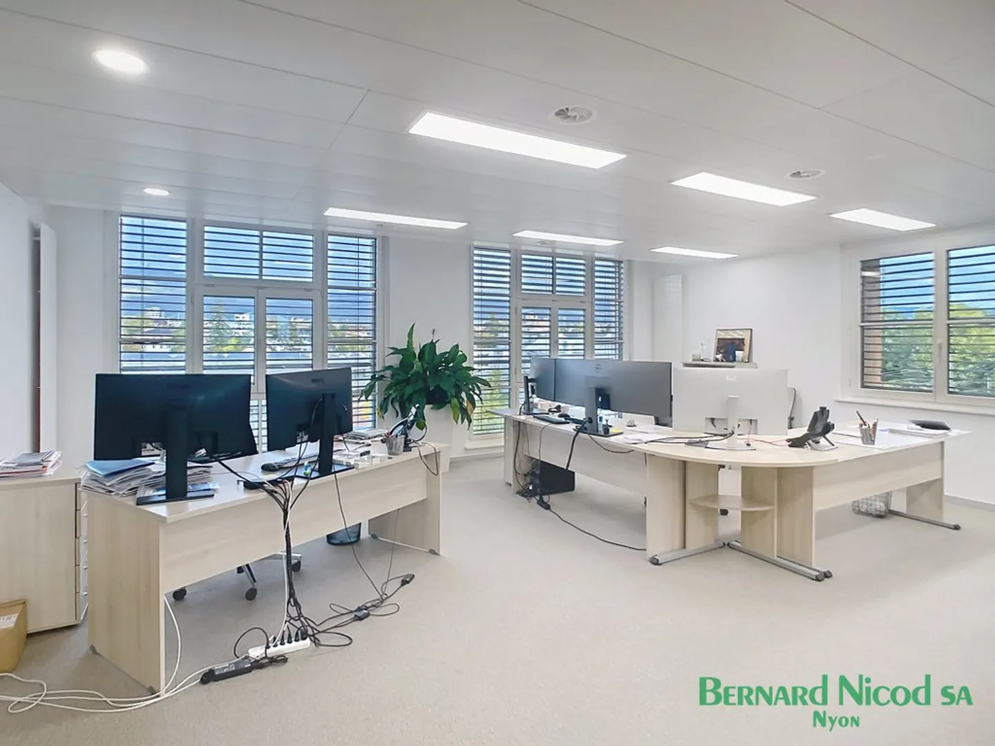 Spacious Office Space in Nyon - Photo 4 of 7