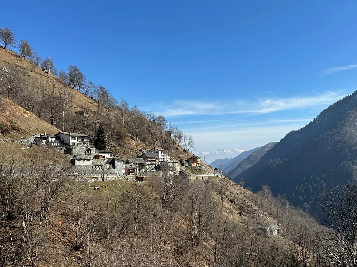 Zwei Wohnungen in einem Dreifamilienhaus - Foto 26 von 30