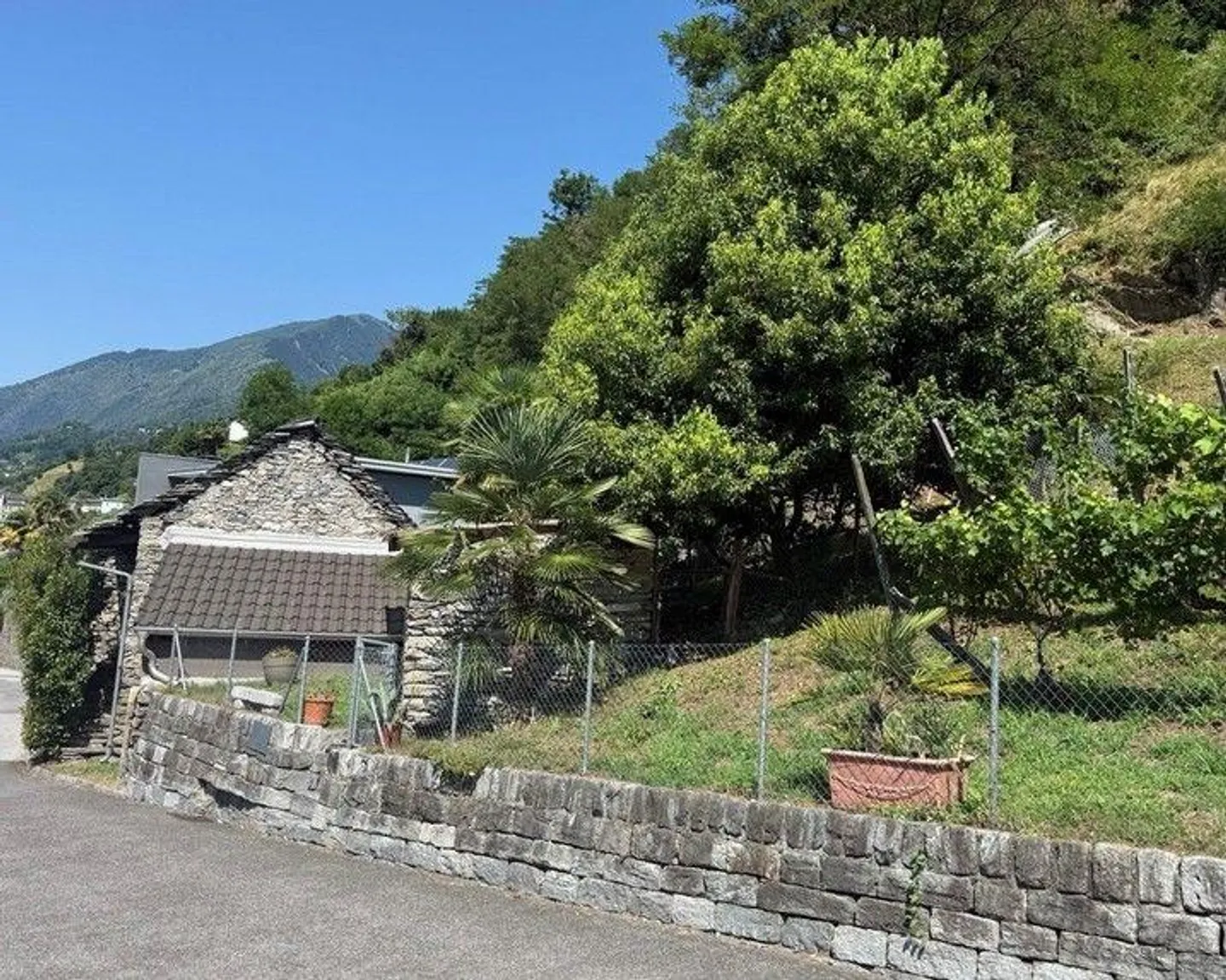 Asta immobiliare - Foto 3 di 13