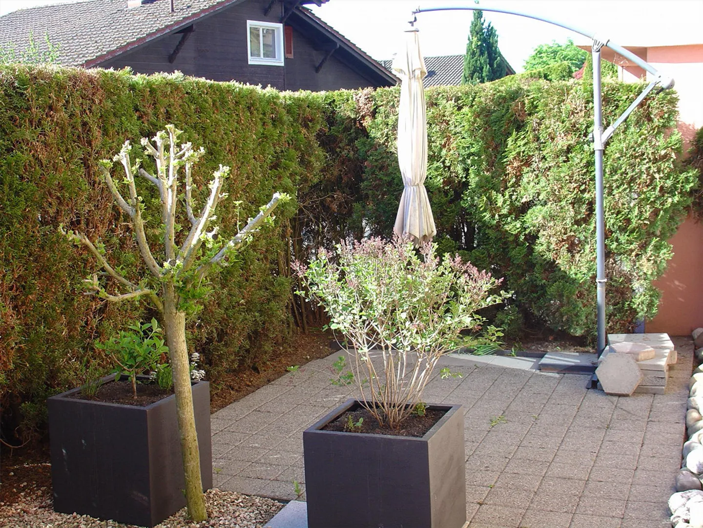 Completely renovated 2 1/2 - room apartment in Küssnacht am Rigi - Photo 1 of 11