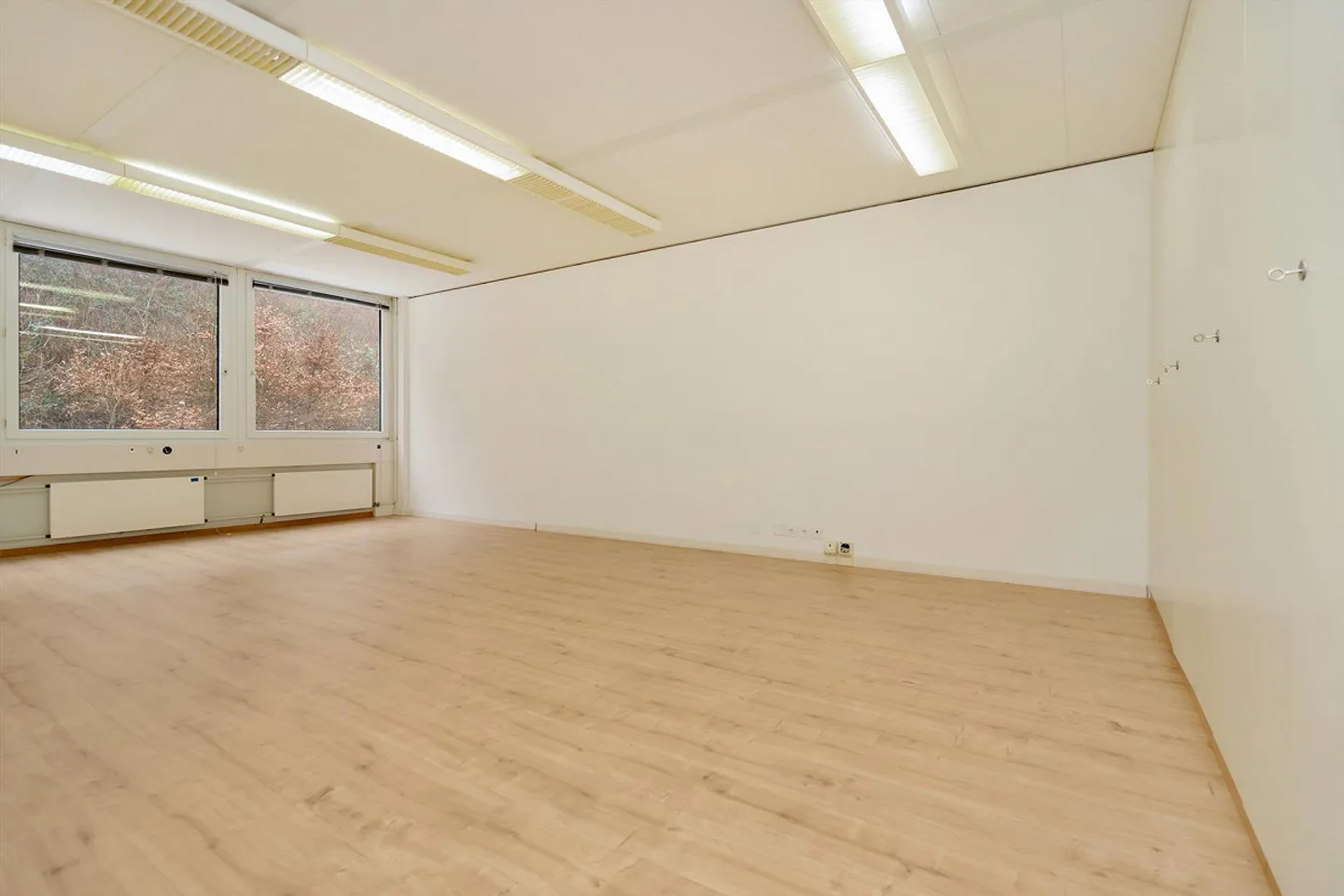 Office or commercial space - ready for occupancy - affordable - Photo 5 of 24