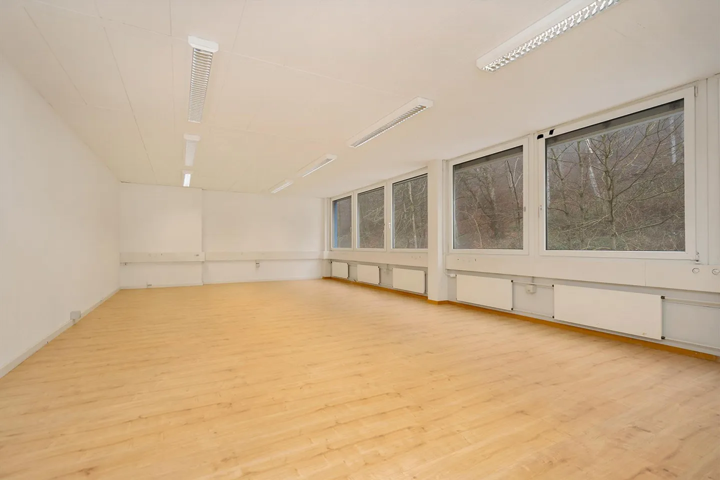 Office or commercial space - ready for occupancy - affordable - Photo 9 of 24