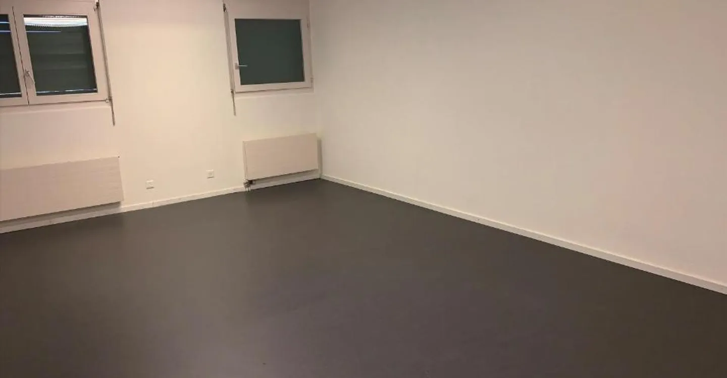 160m2 Office Space near Letzipark - Photo 5 of 8