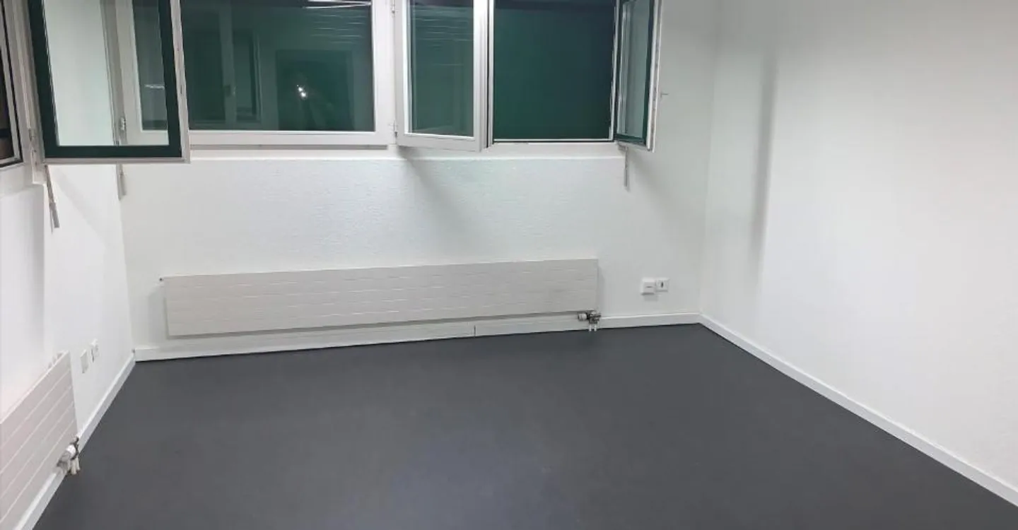 160m2 Office Space near Letzipark - Photo 6 of 8
