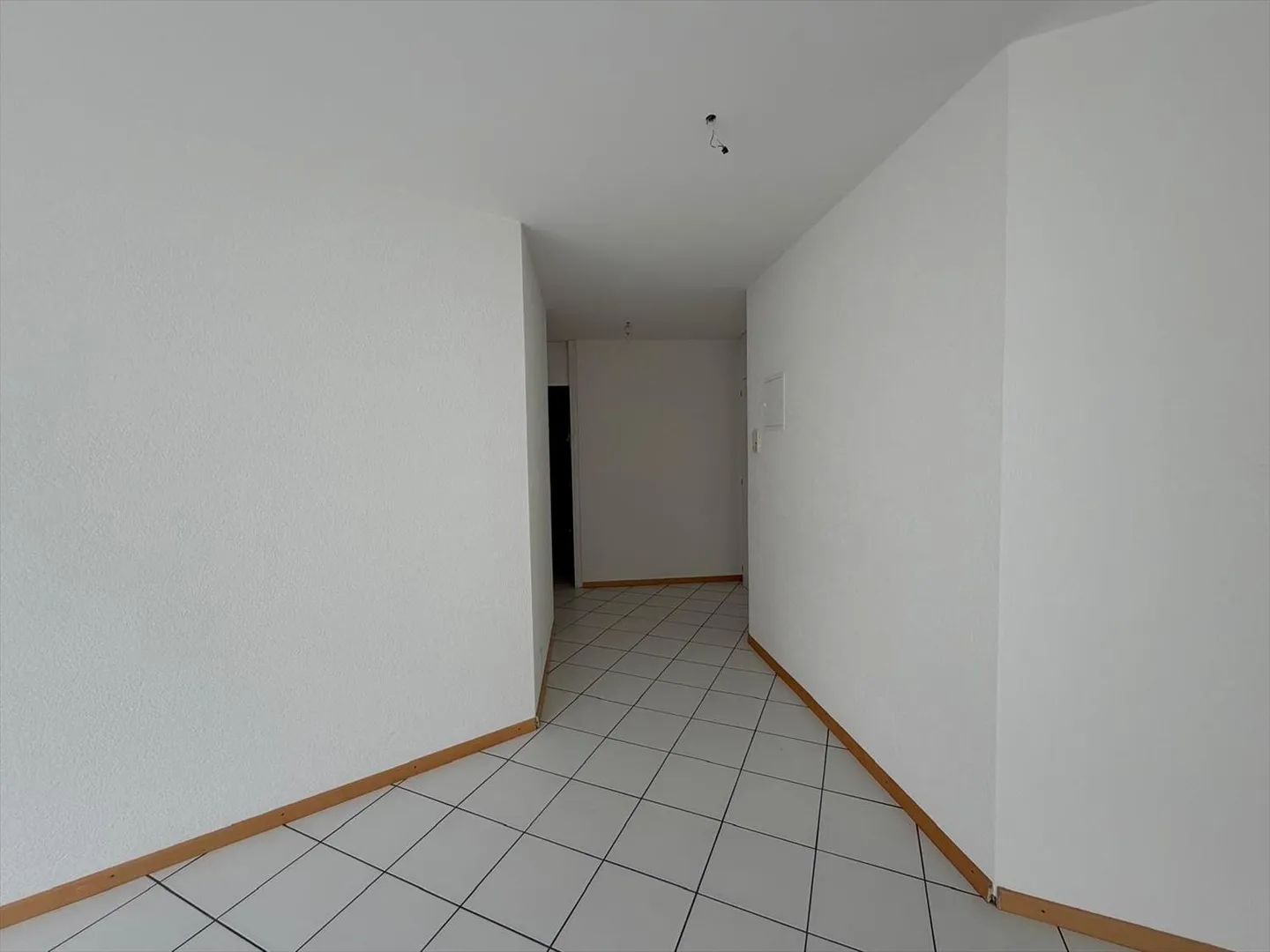 Appartement 4.5 pièces - Photo 4 sur 9