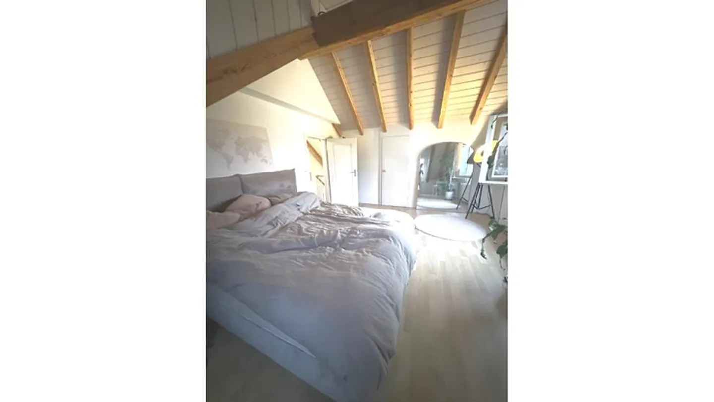 APPARTAMENTO 2½ STANZE A SPIEGEL B. BERN (BE), ARREDATO, TEMPORANEO - Foto 6 di 10