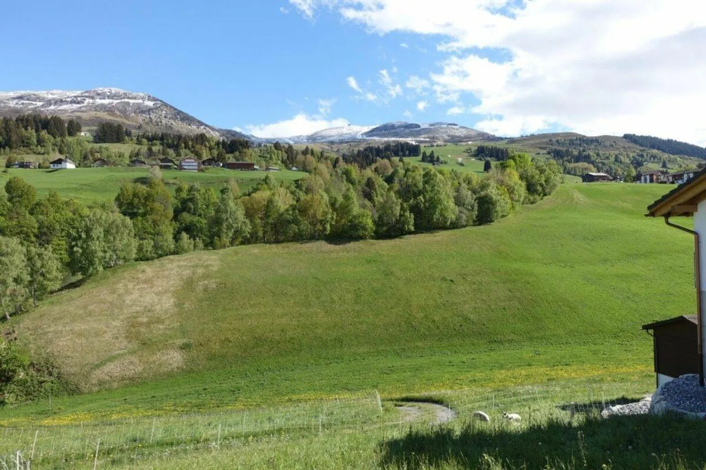 452 m² building land as a permanent residence - Photo 1 of 1