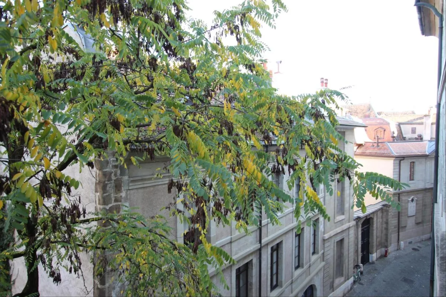 Möbliertes 2-Zimmer-Apartment - Foto 5 von 5