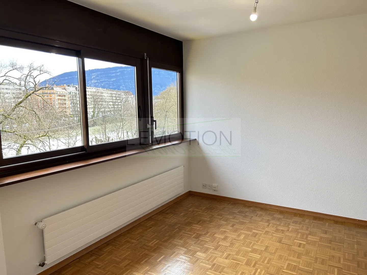 Appartamento Incantevole a Ginevra - Foto 5 di 10