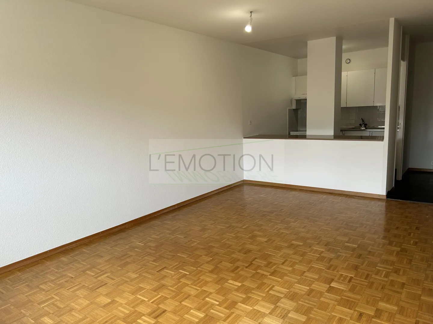 Appartamento Incantevole a Ginevra - Foto 3 di 10