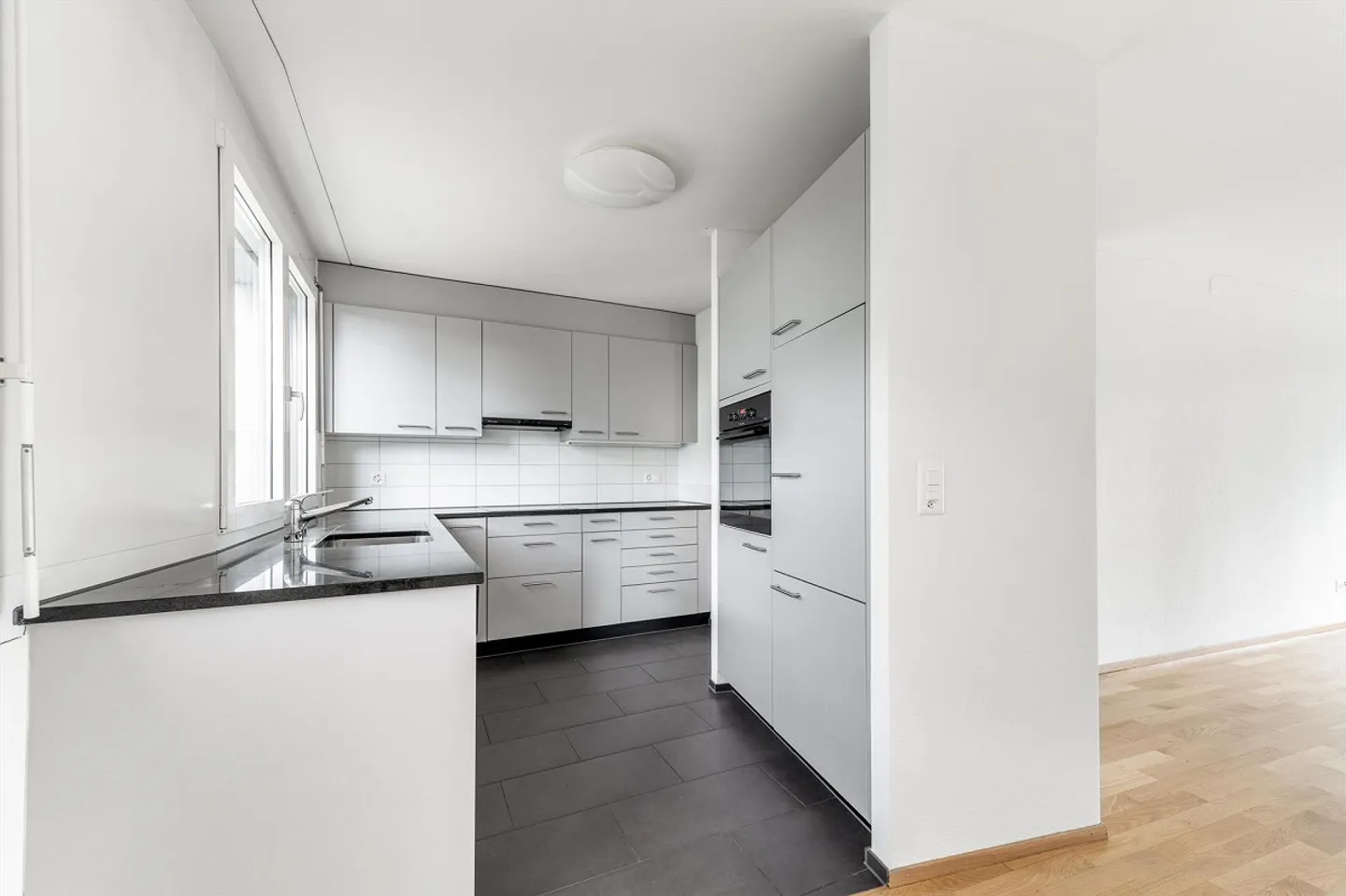 Large Modern Apartment in Pratteln - Photo 3 of 9