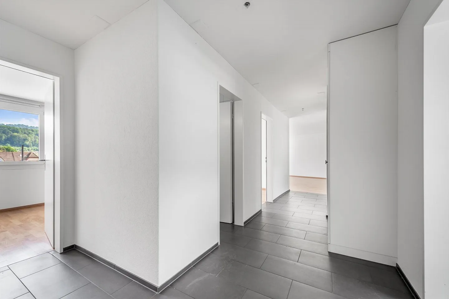 Large Modern Apartment in Pratteln - Photo 7 of 9