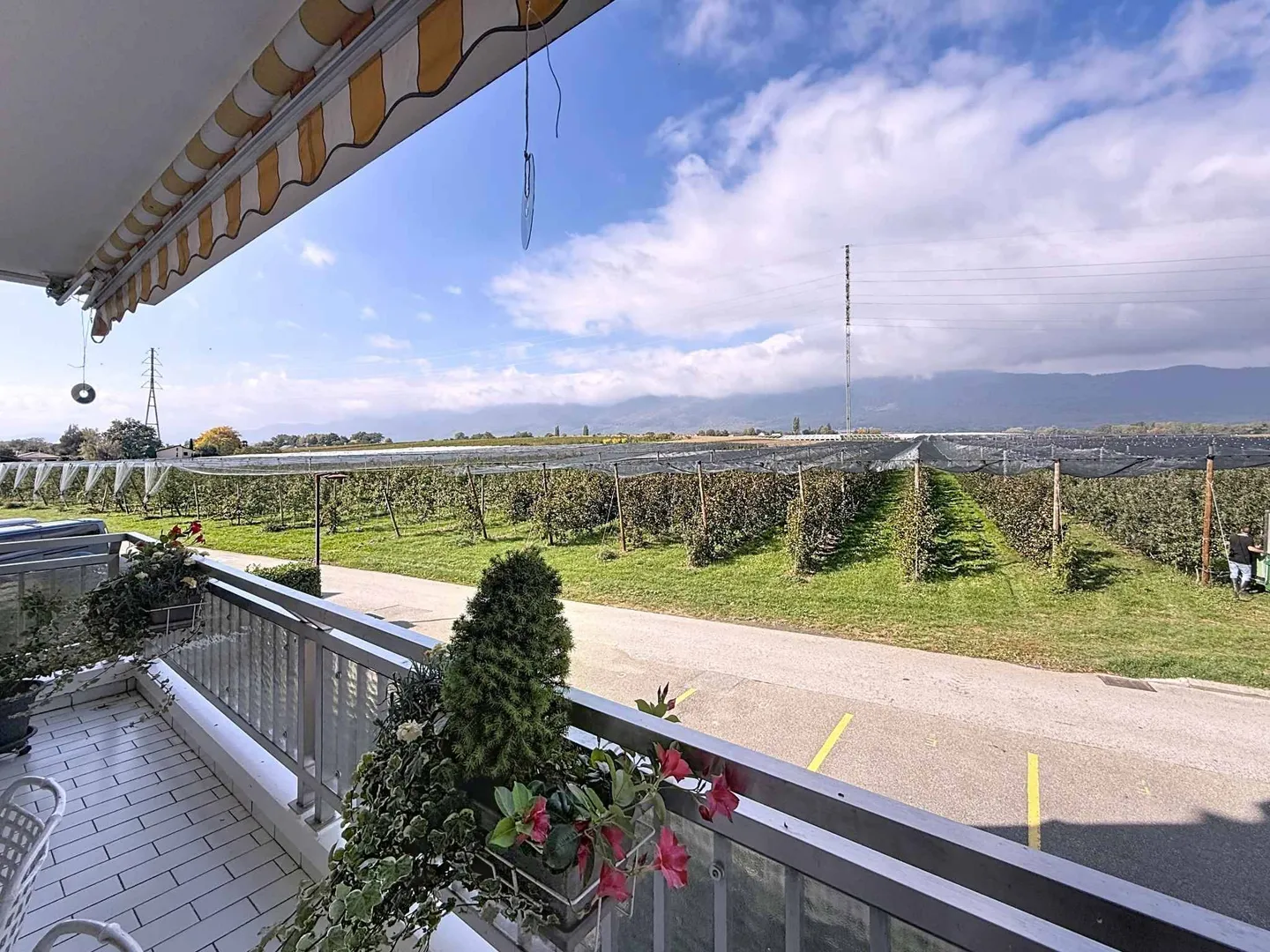 Geräumige Wohnung in einer ruhigen Umgebung - Foto 10 von 13