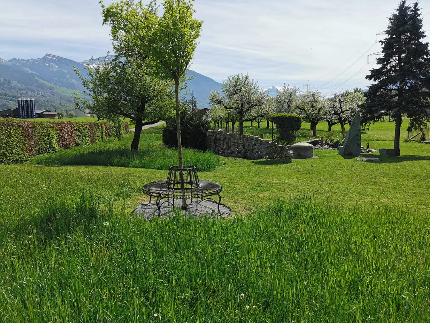 Living in the Countryside - Photo 1 of 2