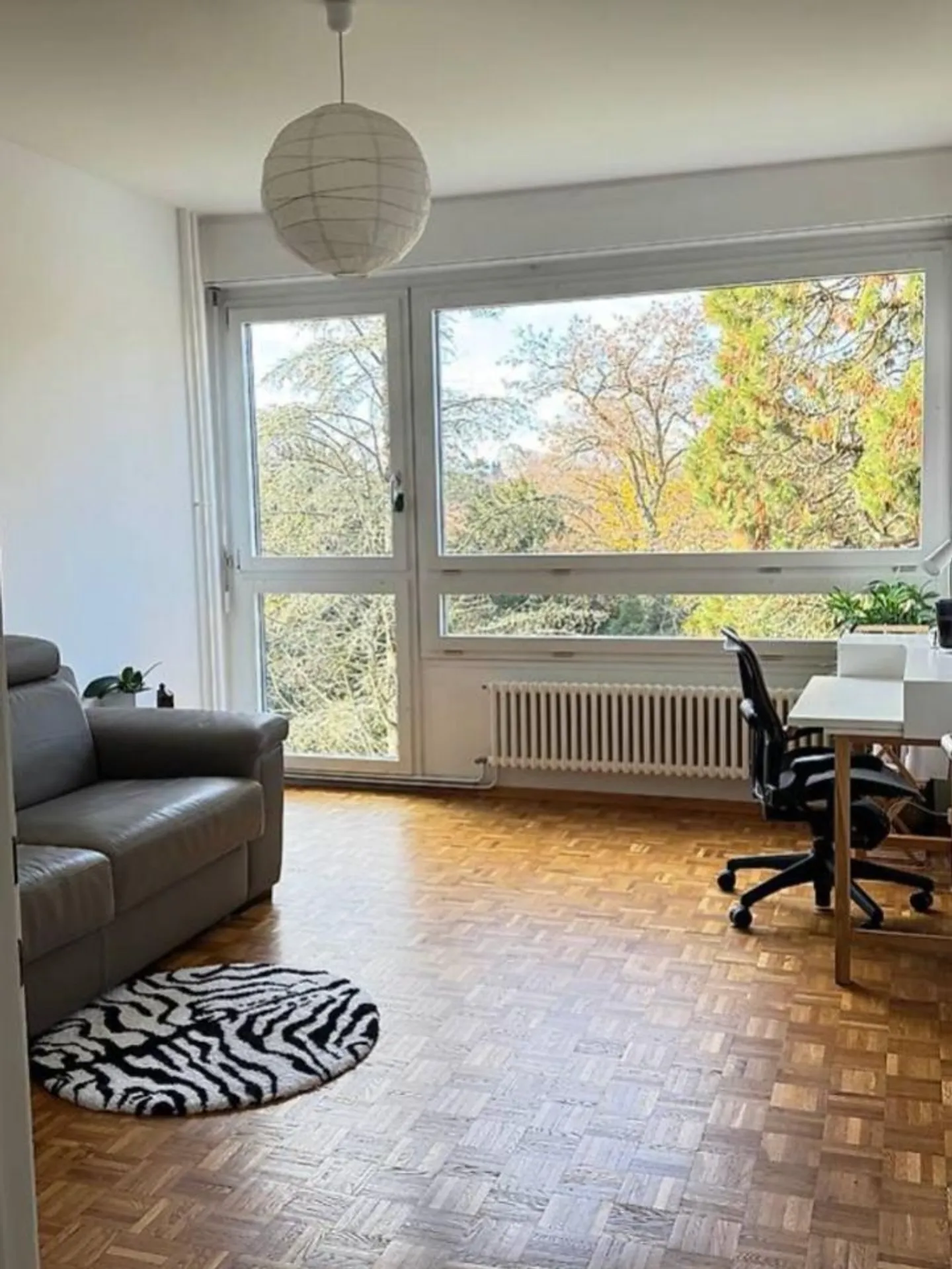 Bell'appartamento arredato di 7,5 locali / 4 camere / Balcone - Foto 5 di 13