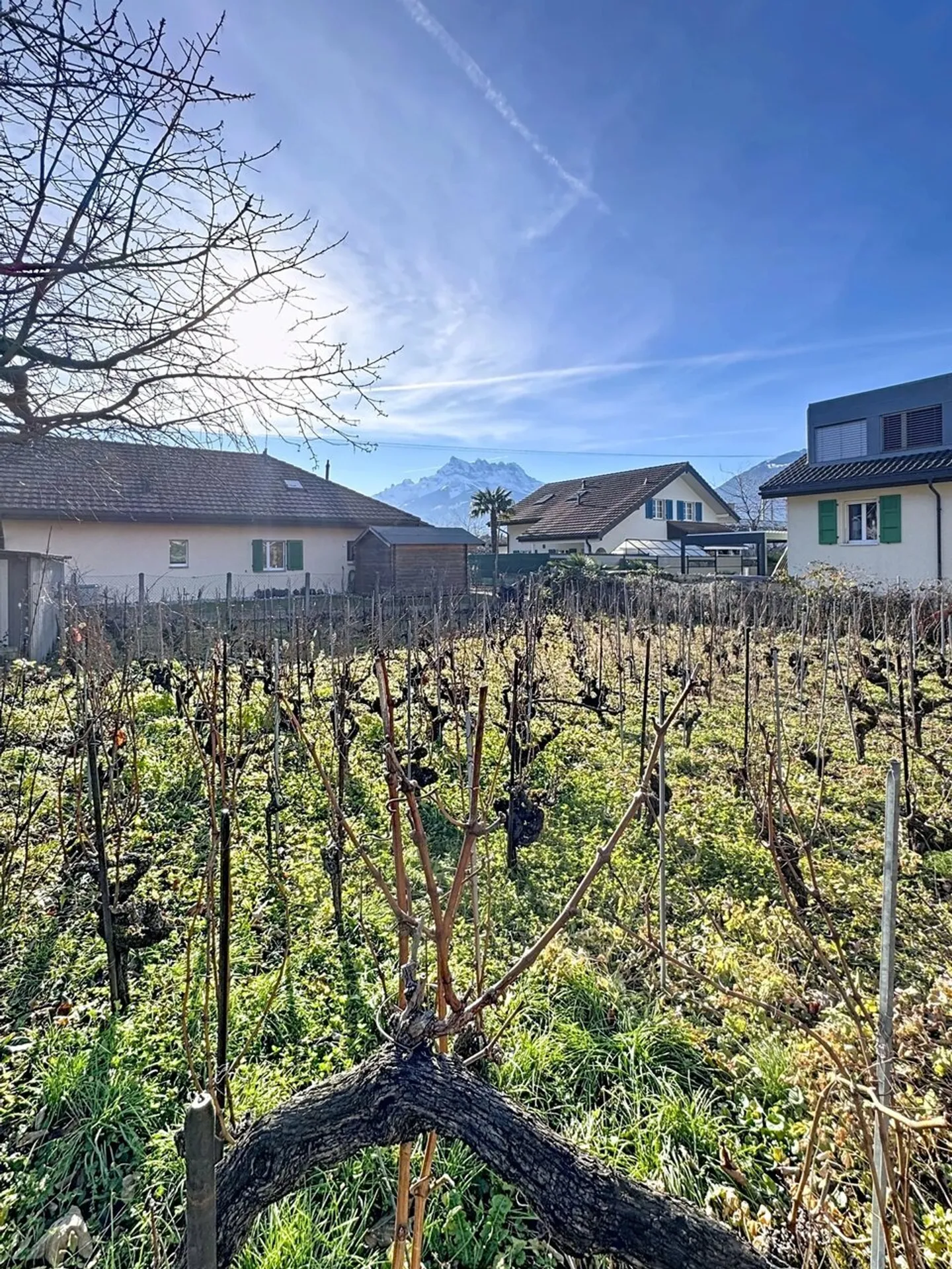 Maison Charmante à Aigle - Photo 12 sur 13
