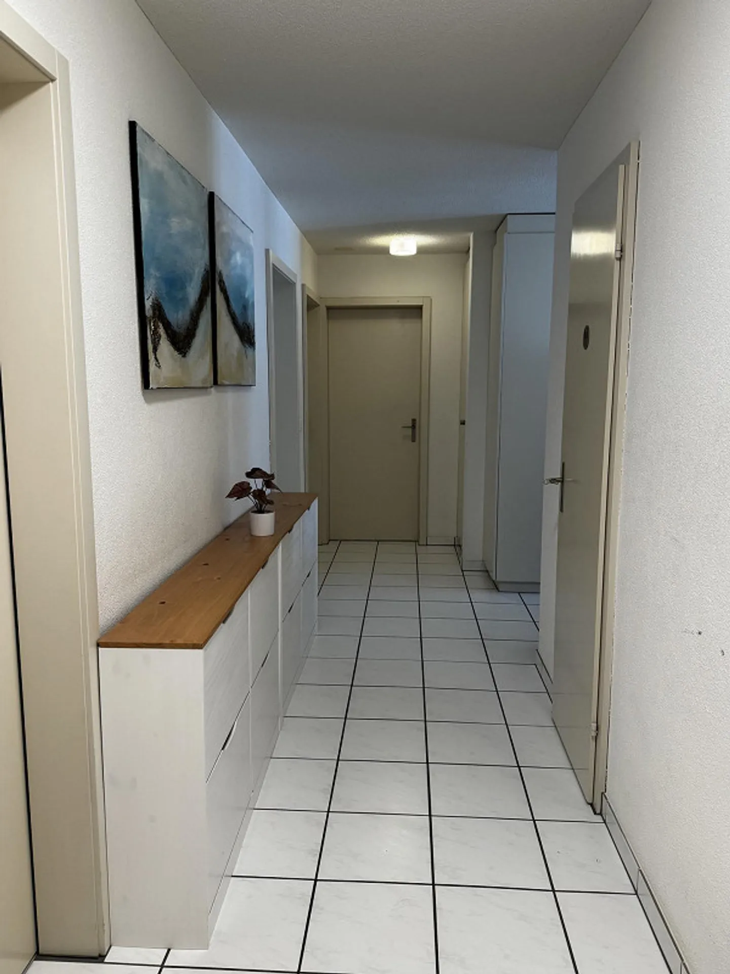 Appartamento 4 1/2 locali al piano terra a Hitzkirch - Foto 2 di 8