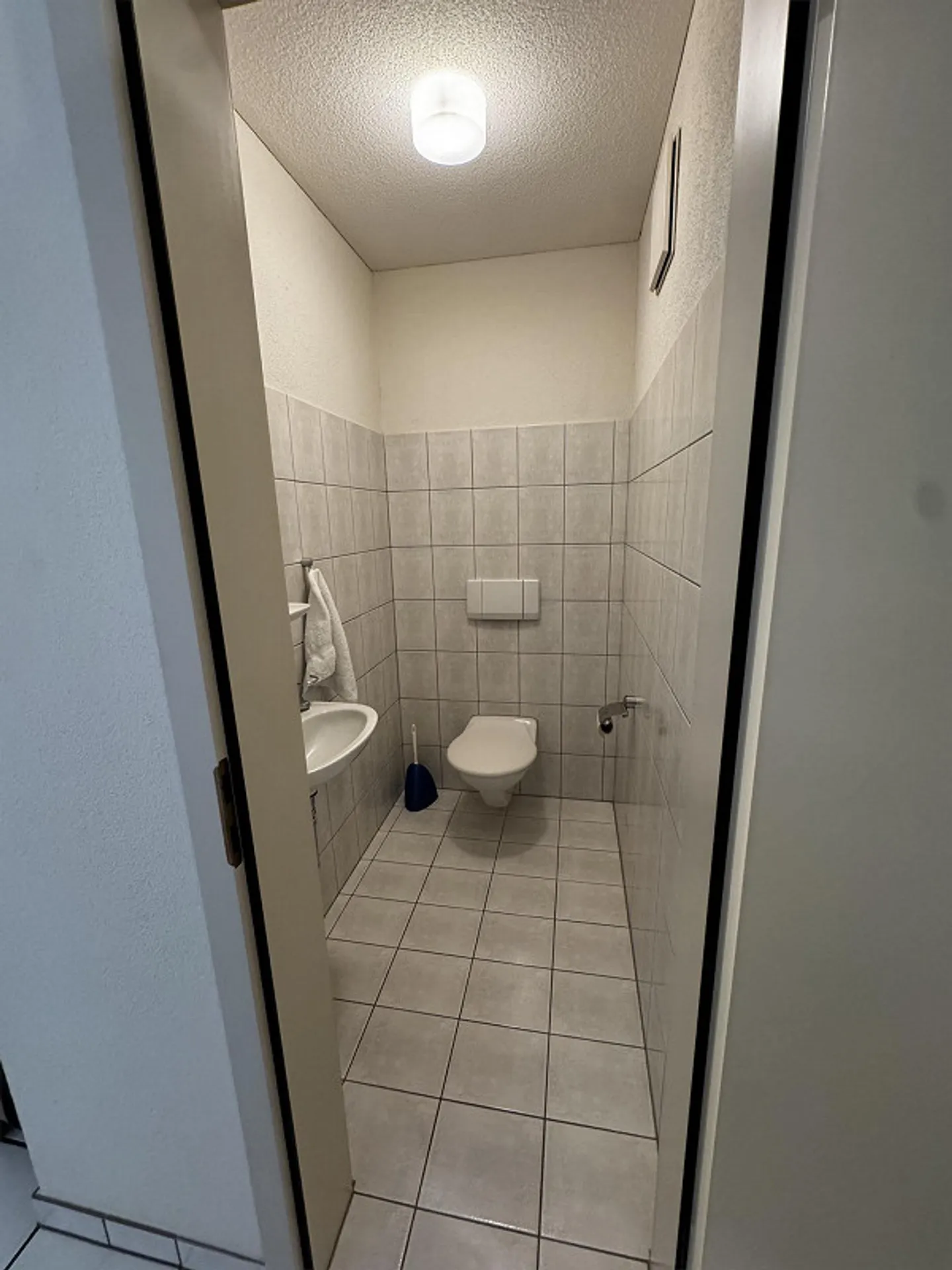 Appartamento 4 1/2 locali al piano terra a Hitzkirch - Foto 3 di 8