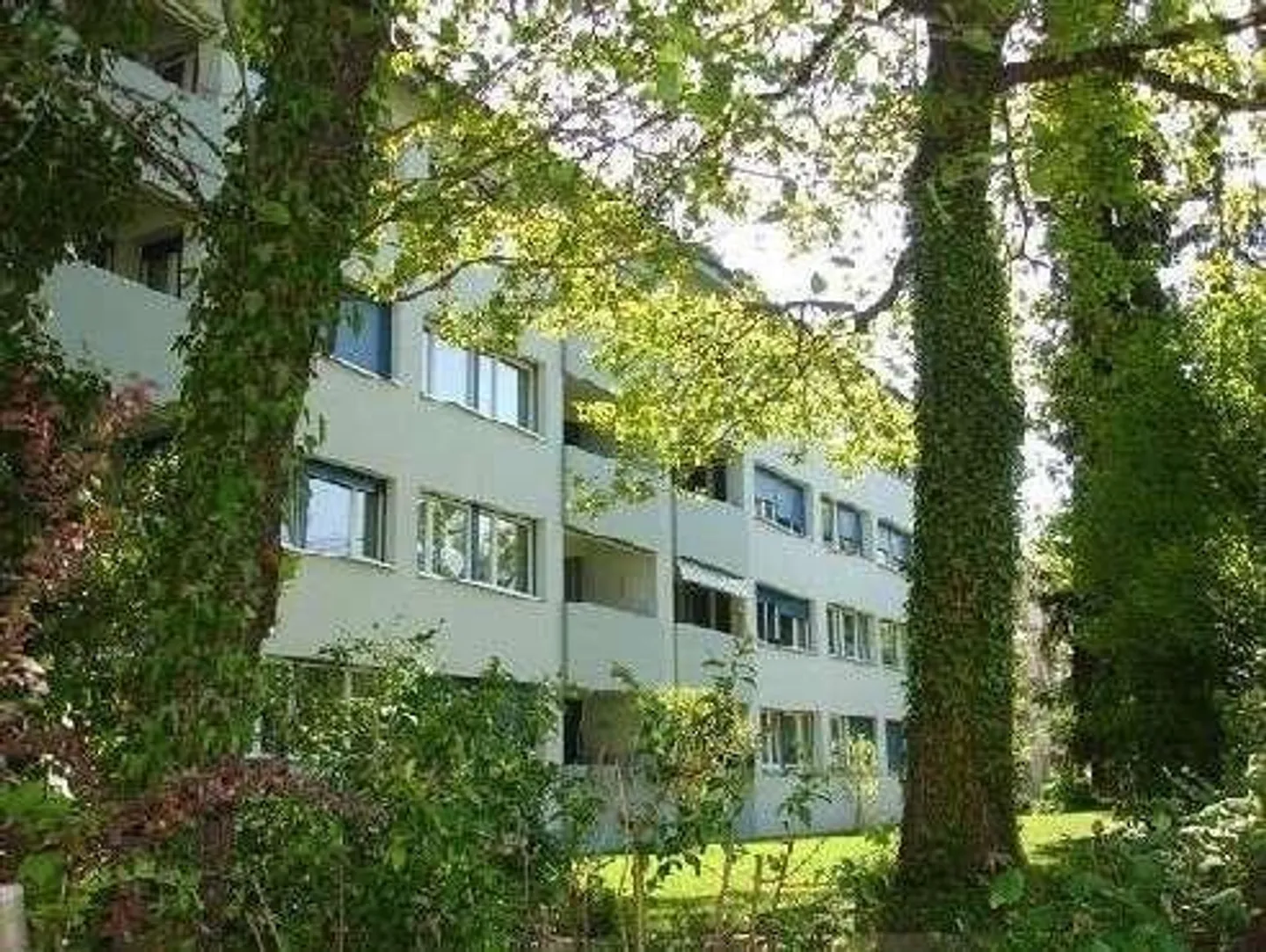 Gemütliche 3.5-Zimmerwohnung in Allschwil - Foto 9 von 11