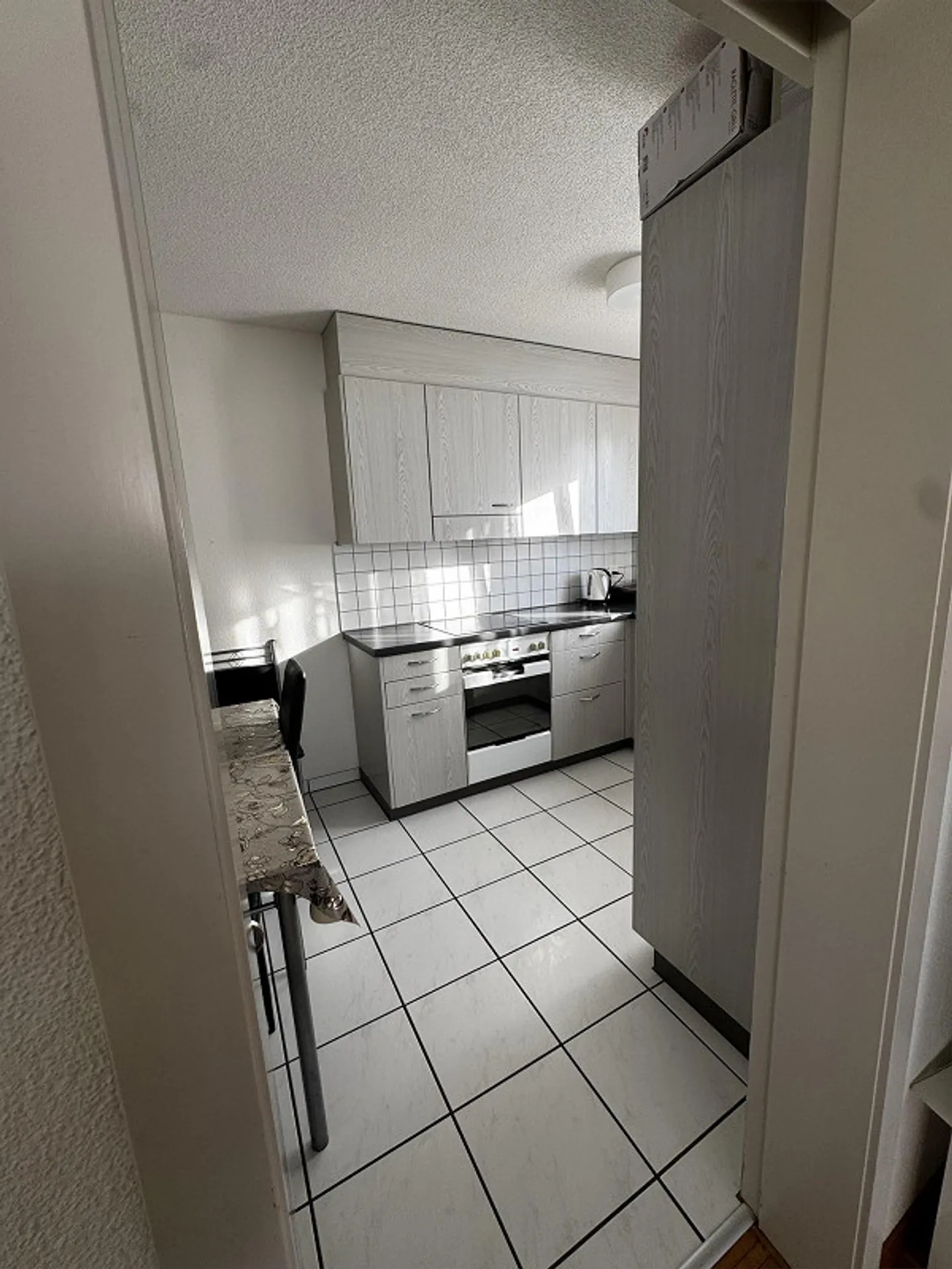 Appartamento 4 1/2 locali al piano terra a Hitzkirch - Foto 5 di 8