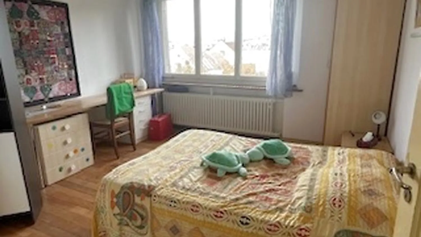 Charmantes 5-Zimmer-Haus in Zürich - Foto 8 von 10