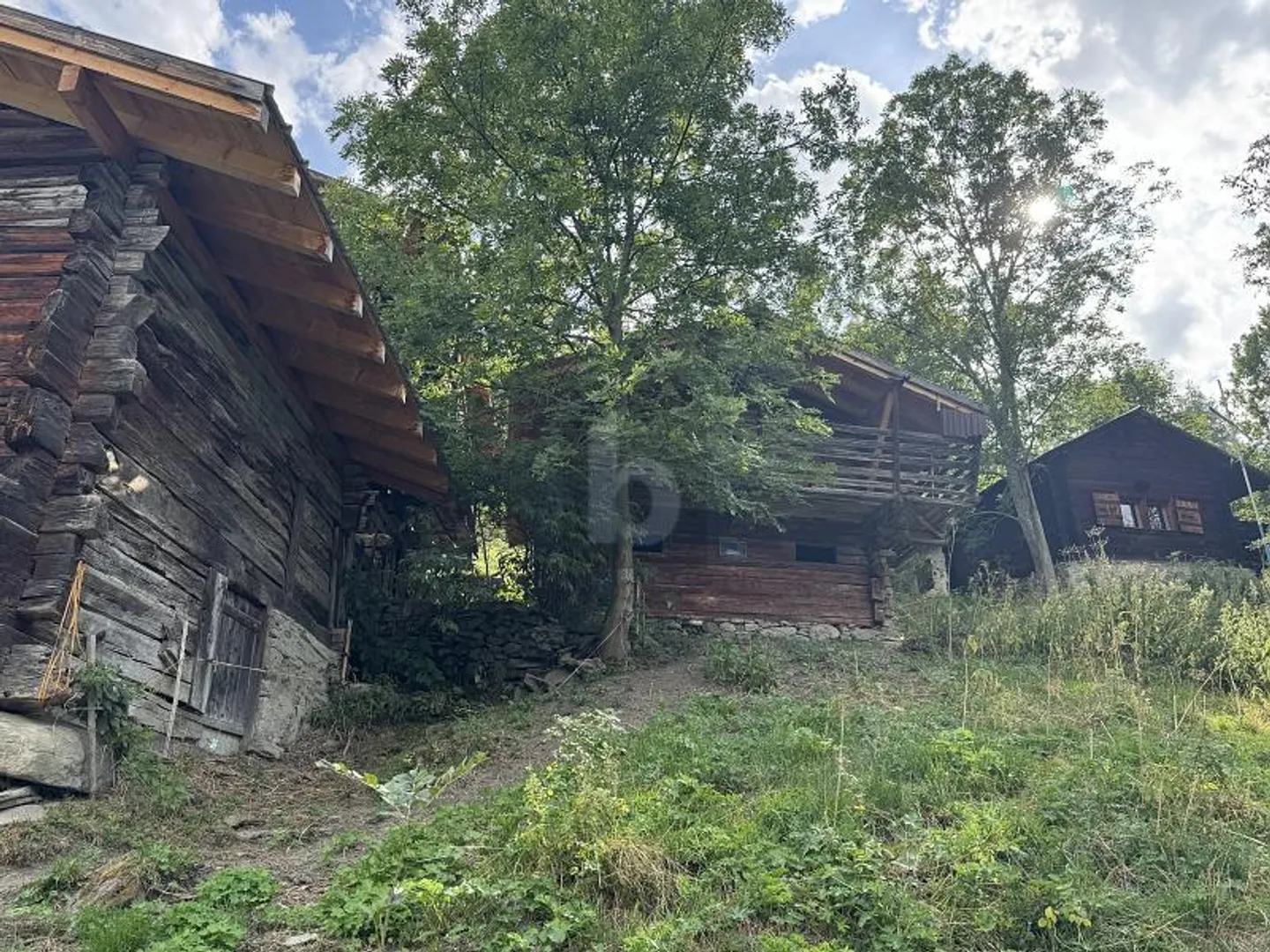 PANORAMABLICK BIS ZU 4 MAYENS - Foto 4 von 5