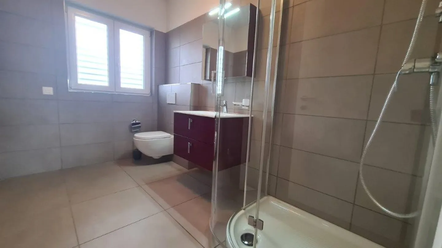 MENDRISIO: LARGE 4.5-ROOM APARTMENT WITH PORCH AND PRIVATE GARDEN - Photo 10 of 13