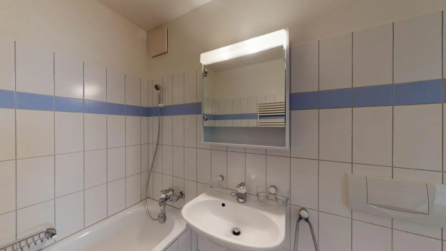 Charming Ground Floor Apartment in St. Gallen - Photo 6 of 8