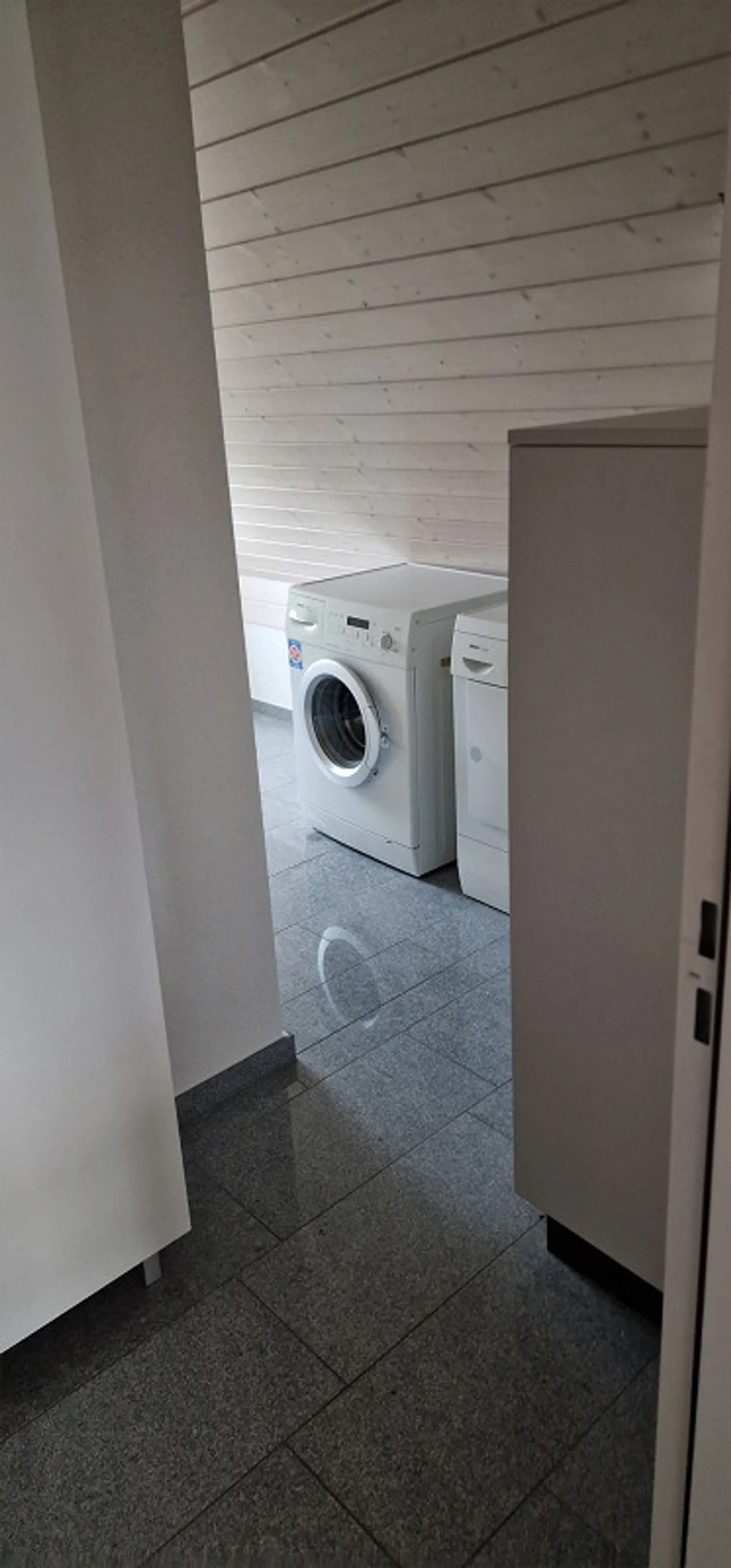 Loft above the rooftops of Immensee - Photo 4 of 7