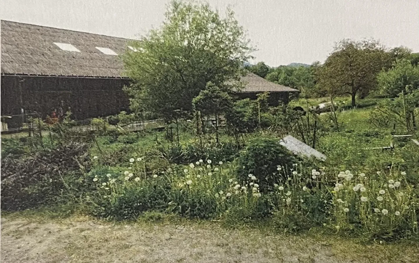 Charmantes Bauernhaus mit Garten - Foto 2 von 4