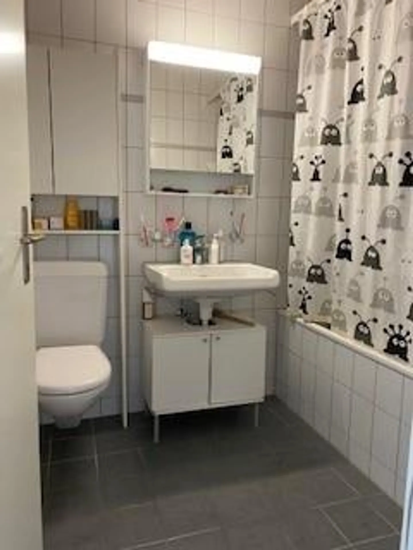 Luminoso appartamento di 4,5 stanze con vista sulle Alpi - Foto 4 di 7