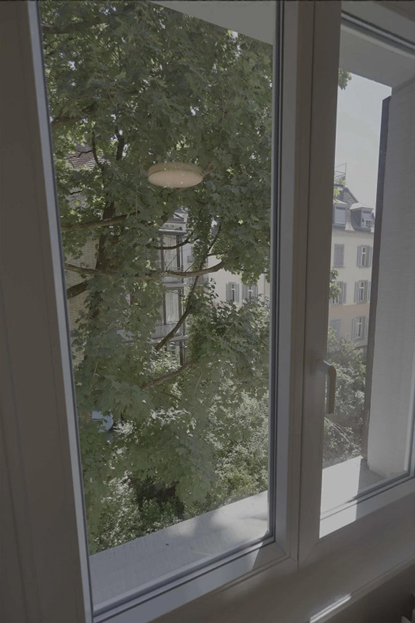 Coliving Wohnung in Zürich - Foto 7 von 22