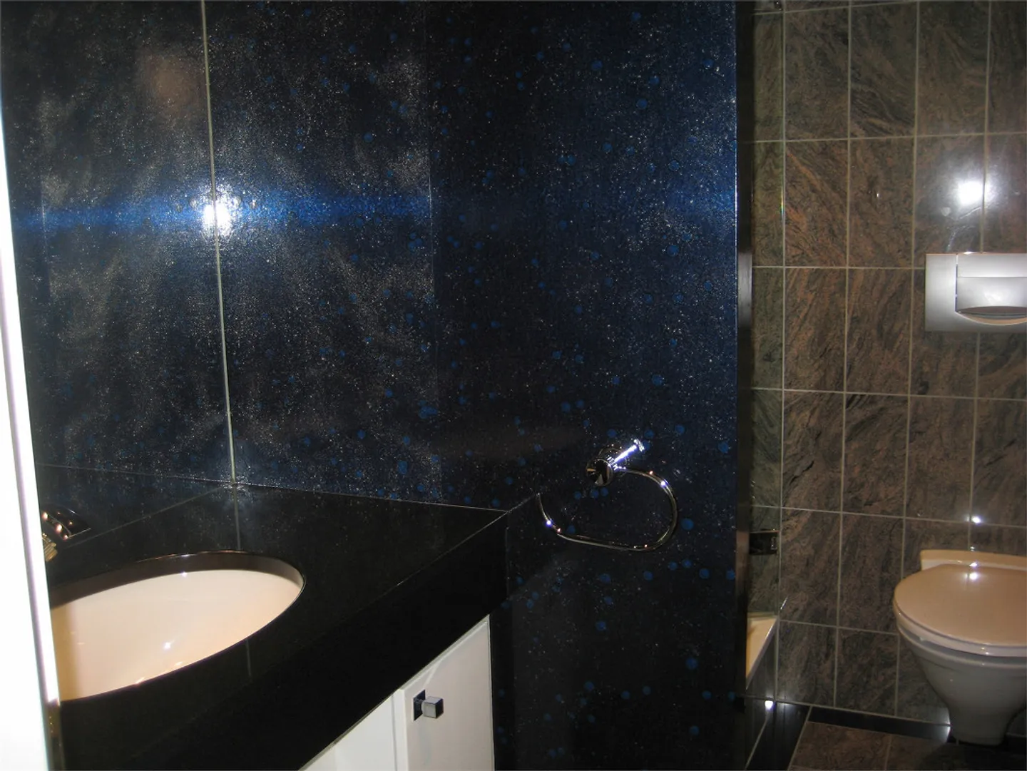 Grindelwald for Discerning Tastes, Exclusive 5 1/2 Room Apartment - Photo 10 of 21
