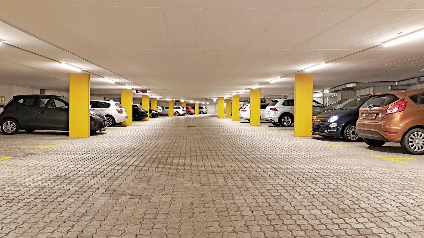 Appartamento 4.5 stanze 1° piano con torre di lavaggio privata - Foto 12 di 13