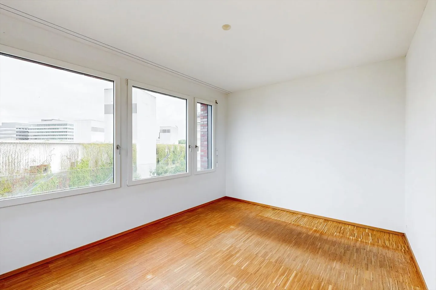 AFFITTARE SENZA CAUZIONE - Vivere tranquillo a Basilea vivace - Foto 7 di 8