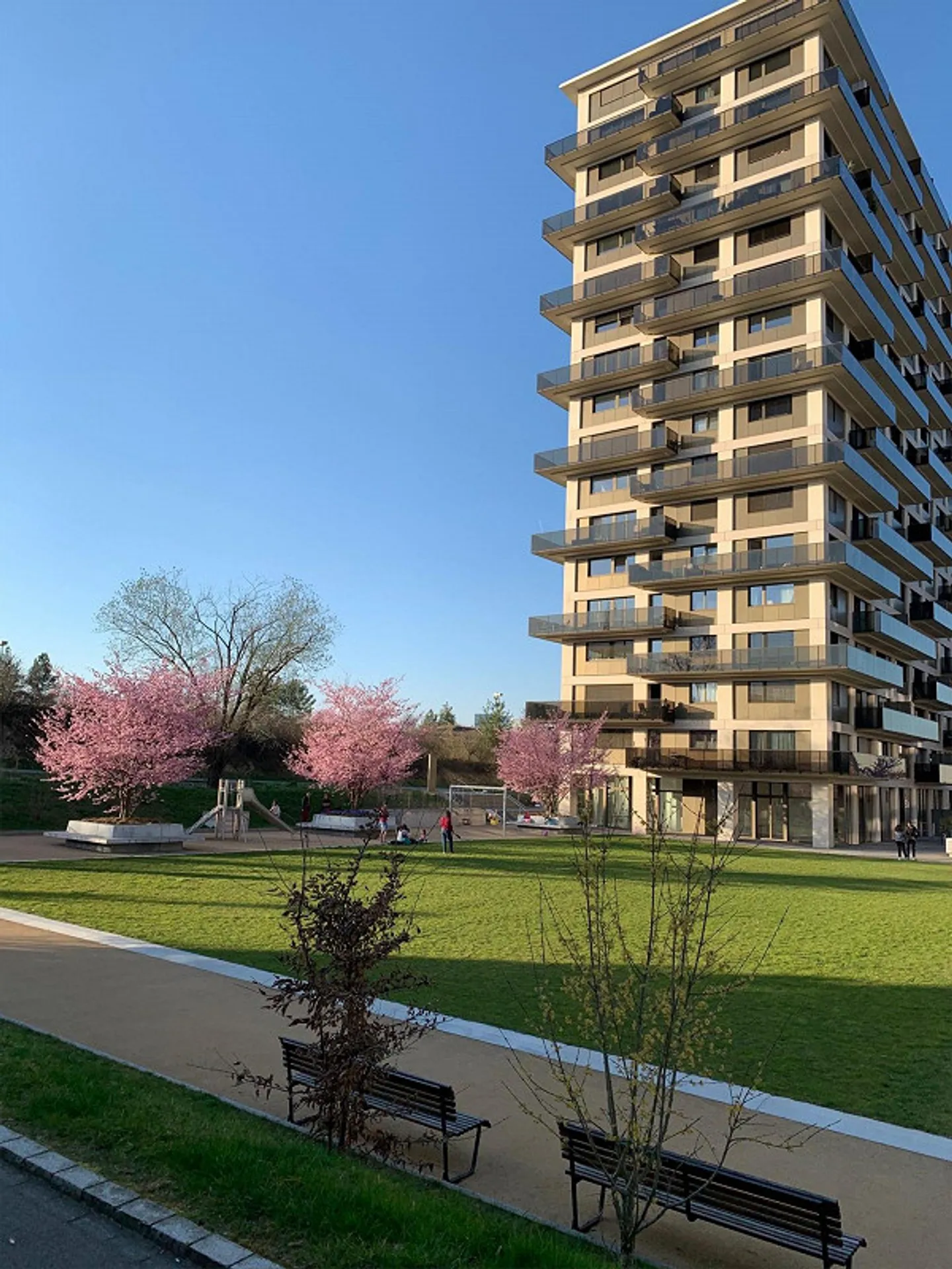 Vivre au-dessus des toits de Dübendorf dans le quartier Hochbord émergent et urbain ! - Photo 4 sur 8