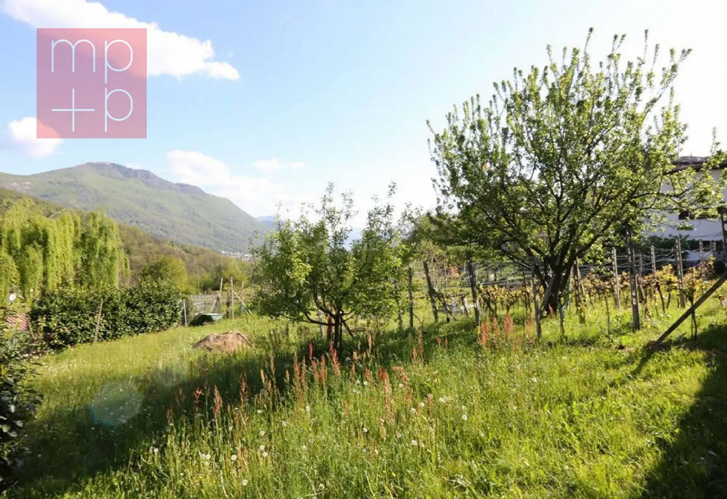 Terreno per costruire - Lopagno - Photo 5 of 8