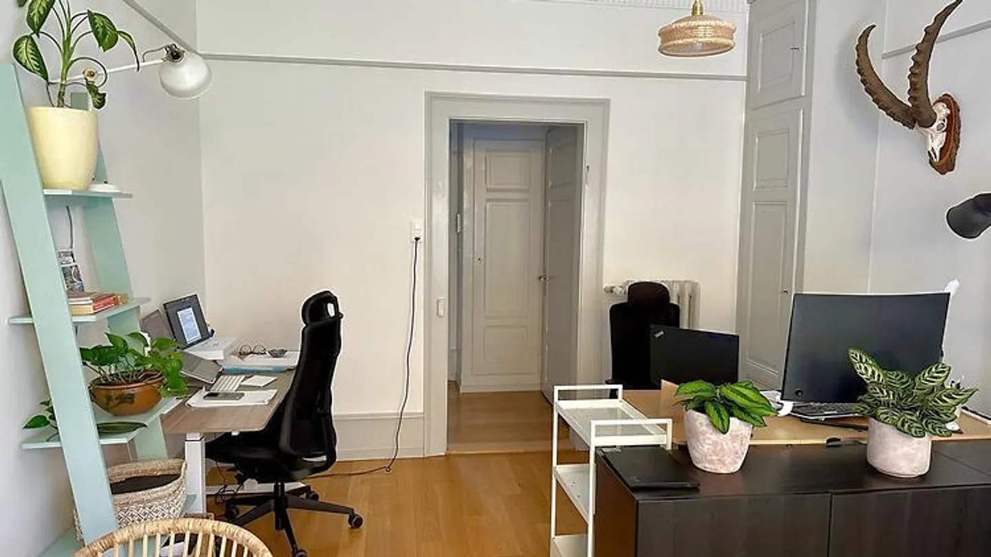 3 ROOM APARTMENT IN BERN - OLD TOWN, FURNISHED, TEMPORARY - Photo 5 of 10